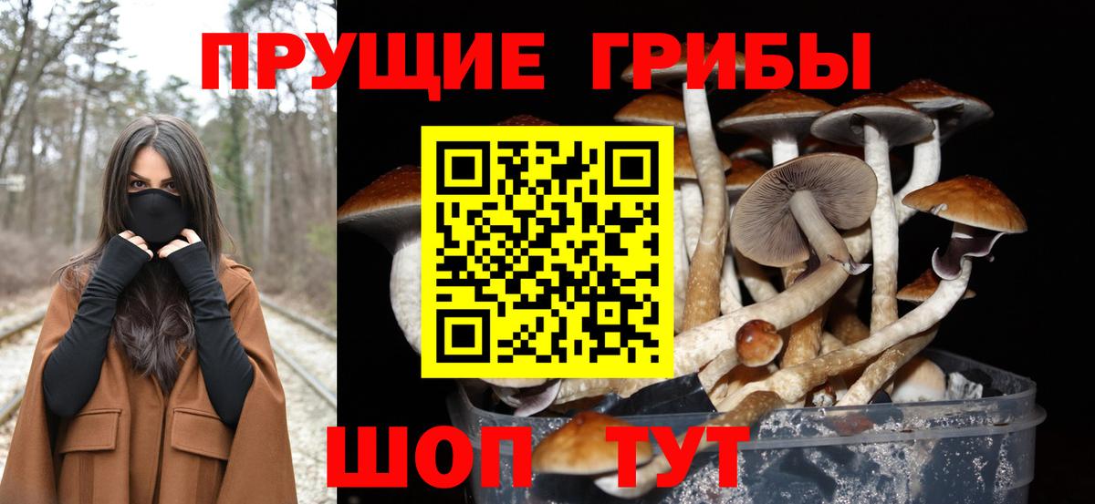 Нижний Новгород  Галлюциногенные грибы ЛСД  Псилоцибиновые грибы Magic Shrooms  Вход с VPN 