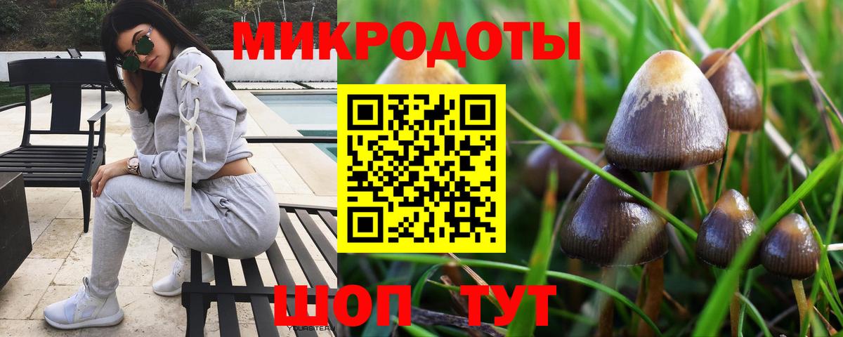 Галлюциногенные грибы мицелий Нижний Новгород